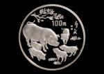 1995年乙亥(猪)年生肖纪念银币12盎司 完未流通