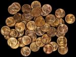 Roll of 1909 Lincoln Cents. V.D.B. Mint State (Uncertified).