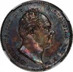 GREAT BRITAIN. Shilling, 1834. London Mint. William IV. NGC MS-63.