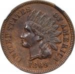 1869 Indian Cent. AU Details--Cleaned (NGC).