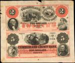 Greenup, Illinois. Cumberland County Bank. ND (18xx). Uncut Pair $2-$5. Very Fine.