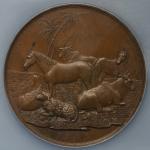 INDIA British-India イギリス領インド AE Medal 1864 NGC-MS64BN UNC+