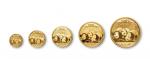 2013年熊猫纪念金币一组5枚 完未流通