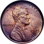 1909-S Lincoln Cent. V.D.B. MS-65 RB (NGC). CAC.