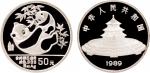1989年中国人民银行发行熊猫精制纪念银币