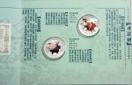 Set: 2 X 10 Yuan silver in colour 2009. Chinese literature. LuZhishen and Lin Chong. In original fol
