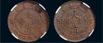 己酉（1909年）大清铜币二十文二枚