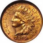 1909 Indian Cent. MS-64 RD (NGC).