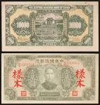 民国三十三年（1944年）中央储备银行壹万圆，加盖“样本”，有打孔注销，九五成新