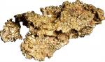 Native Gold Specimen. Approximately 29.1 mm x 10.4 mm x 14.8 mm. 8.5 grams.