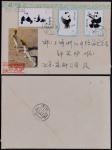 1963年特59熊猫有齿北京寄上海自然首日封，上海钟笑炉自制西式美术封贴特58熊猫全套3枚，销北京18（支）1963.8.5首日日戳，背落上海11（支）8月9日到戳，保存完好 RMB: 1,000-2