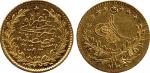 COINS. REST OF THE WORLD. Turkey, Murad V: Gold 25-Kurush, AH1293 (1876).  (KM 713). Planchet flaw o