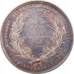 1872 Middlesex South Agricultural Society Award Medal. Harkness Ma-150, Julian AM-48. Silver. MS-62 