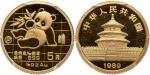 1989年熊猫P版精制纪念金币1/20盎司 PCGS Proof 69