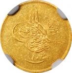 1891年埃及10 Qirsh银币。
