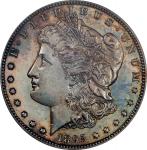 1895 Morgan Silver Dollar. Proof-64 (NGC).