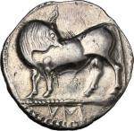 Greek Coins, Southern Lucania, Sybaris. AR Stater, c. 550-510 BC. HN Italy 1729. Basel 169. SNG ANS 