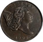 1794 Liberty Cap Half Cent. C-1a. Rarity-3. Normal Head. Large Edge Letters. AU Details--Corrosion R
