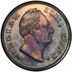 BRITISH INDIA: William IV, 1830-1837, AR ½ rupee, 1835 (c), KM-449.2, S&W-1.59, proof restrike with 