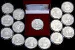 15 X 10 Yuan panda silver from 2005 to 2018 complete 2014 doubleavailable (1 X in capsule and 1 X in