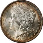 1886 Morgan Silver Dollar. MS-64 (NGC). OH.