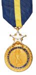 美国海军卓越勋章一枚