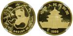 1985年熊猫纪念金币1/10盎司 NGC MS 69