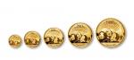 2013年熊猫纪念金币一组5枚 完未流通
