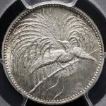 GERMAN NEW-GUINEA ドイツ领ニューギニア 1/2Mark 1894A  PCGS-UNC Details“Cleaning“ 洗浄 AU~UNC