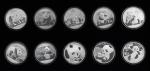 2011-2020年中国熊猫银币一组十枚，包括1盎司五枚，30克999银五枚，附带鉴定证书，装帧并附带原封套，完全未使用品