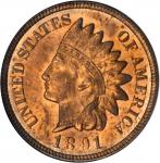 1891 Indian Cent. MS-64 RD (NGC).