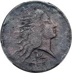 1793 Flowing Hair Cent. Wreath Reverse. S-11A. Rarity-4+. Vine and Bars Edge. Fine Details--Damage (