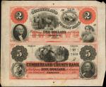 Greenup, Illinois. Cumberland County Bank. ND (18xx). Uncut Pair $2-$5. Extremely Fine.