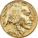 2013 One-Ounce Gold Buffalo. First Releases. MS-70 (NGC).