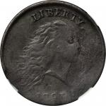 1793 Flowing Hair Cent. Chain Reverse. S-4. Rarity-3+. AMERICA, With Periods. VF Details--Obverse Co