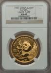 People s Republic gold Panda 100 Yuan (1 ounce) 1991 MS67 NGC, Large date variety, KM350. Lovely pro