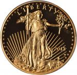 美国。2013-W年4枚一组金鹰精制套币。