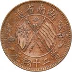 1919湖南省造双旗嘉禾当二十铜元、素面无字老铜币各一枚，共计二枚