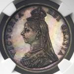 GREAT BRITAIN Victoria ヴィクトリア(1837~1901) 2Florin 1887 NGC-PF63 Cameo トーン Proof UNC