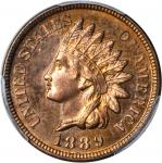 1889 Indian Cent. Proof. Unc Details--Questionable Color (PCGS).