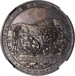 1914 Montana, 25th Anniversary of Statehood. Copper. 38 mm. HK-662. Rarity-4. MS-64 BN (NGC).