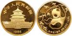 1985年熊猫纪念金币1/2盎司 近未流通