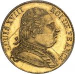 FRANCE - FRANCELouis XVIII (1814-1824). 20 francs buste habillé, aspect Flan bruni (PROOFLIKE) 1815,