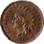 1869 Indian Cent. AU Details--Environmental Damage (PCGS).