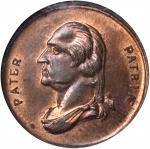Undated (1861-1865) George Washington Pater Patriae / Freedom. Fuld-113/294. Rarity-9. Copper. 19 mm