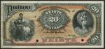 El Banco Potosi, Bolivia, uniface specimen 20 Bolivianos, Sucre, 1 January 1894, no serial numbers, 