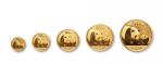 2011年熊猫纪念金币一组5枚 完未流通