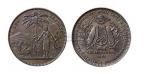 1881年新西兰铜质代用币土著女铜币