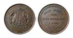 1881年新西兰铜质代用币竖琴铜币