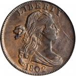 1802 Draped Bust Cent. S-231. Rarity-1. Stemless Wreath. MS-63 BN (PCGS).